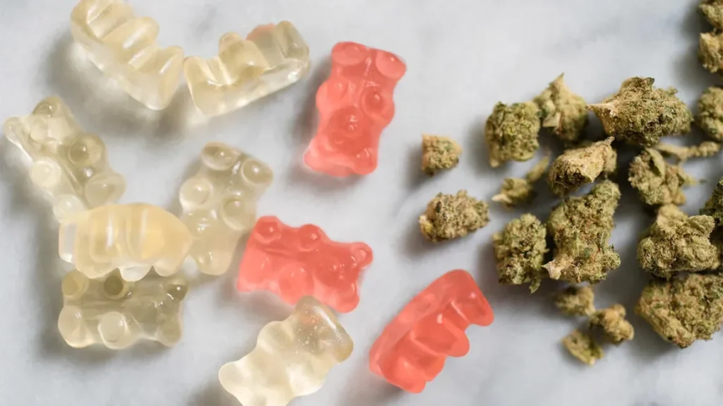 Adult Multivitamin Gummies